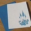 The Card Shop:  Blue Lupines