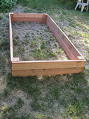 DIY:  Build Your Own Garden Box