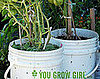Before and After: From Eyesore to Eye Catching
