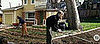 In the News: Farms Sprout in Suburbia