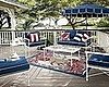 Trend Alert:  Koi in the Pond and in the House