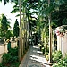 Fabulous Foliage