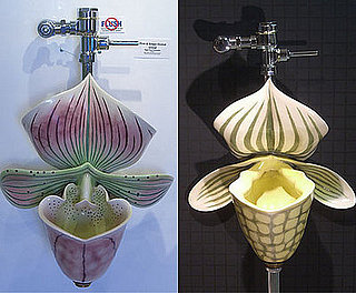 Love It or Hate It? Orchid Urinals