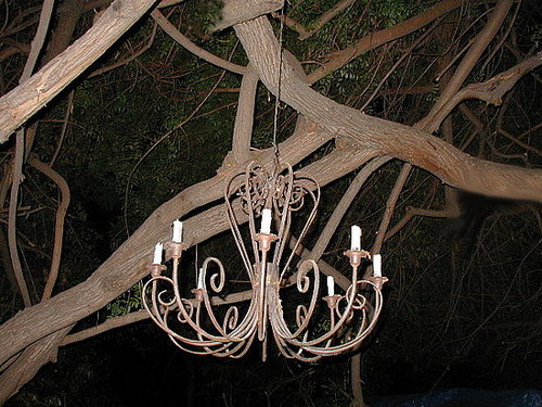 Midday Muse:  Light in the Garden