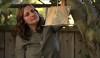 DIY: Eco Chopstick Birdhouse
