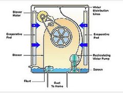 Do You Have a Swamp Cooler?
