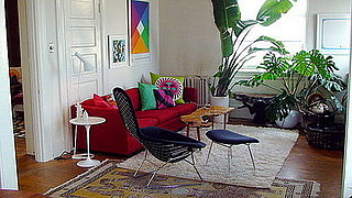 Midday Muse: Bright Hues, Big Plants