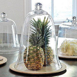 Steal of the Day: Tall Glass Cloche