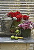 Midday Muse:  Romantic Work Areas 