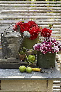 Midday Muse:  Romantic Work Areas 