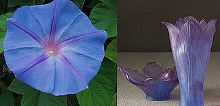 Inspired: Morning Glorious Colors