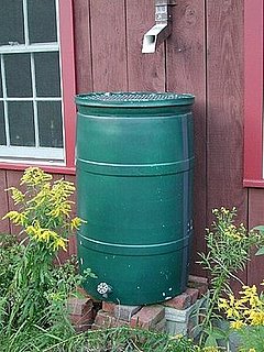 How-To: Build Your Own Rainbarrel