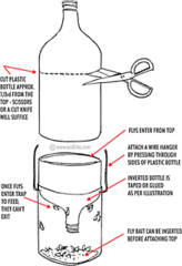 DIY: Organic Fly Trap