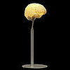 Love It or Hate It? MYBrain Lamp