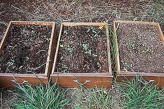 Cool Idea: Drawer Planters