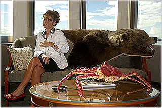 What's Your Take on Taxidermy?