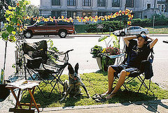Cool Idea: Park(ing) Day Is Dog-Friendly Cool Idea: Park(ing) Day Is Dog-Friendly