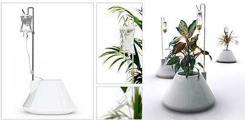 Cool Idea: I.V. Self-Watering Plant Pot