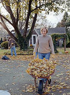 Where Do You Put Your Leaves?