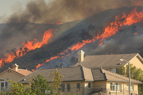 Have You Ever Been in a Wildfire?