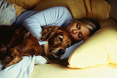 Do You Snuggle Up on the Sofa?