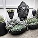 Keep Floral Arrangements and Plants Low Maintenance