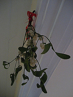Do You Hang Mistletoe?