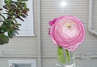 Do You Use Bud Vases?