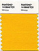 Pantone's Color of 2009 Is Mimosa