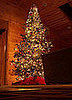 Su Casa Challenge: Show Me Your Holiday Decorating!