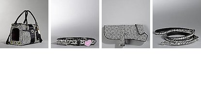 Pampered Pals: Coach Op Art Collection