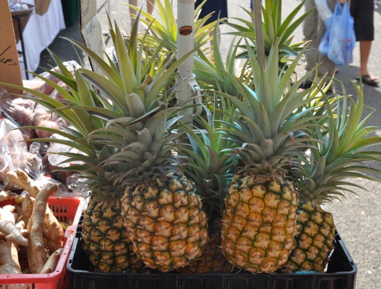 Exploring the Farmers Market of Oahu Exploring the Farmers Market of Oahu