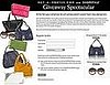 Win a Fab Chloe Bag and Sunnies From ShopStyle and Net-a-Porter! 