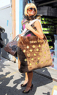 Paris Hilton Strolls Robertson Boulevard in LA Carrying a Chewy Vuitton Dog Bed