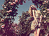 Bebe Spring Summer Ad Campaign Featuring Anne Marie Van Dijk