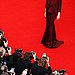 The Best of Cannes — Daytrippers