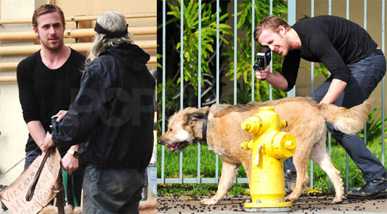 Ryan Gosling Walking His Dog