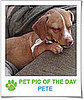 Pet Pics on PetSugar 2009-02-23 07:15:16