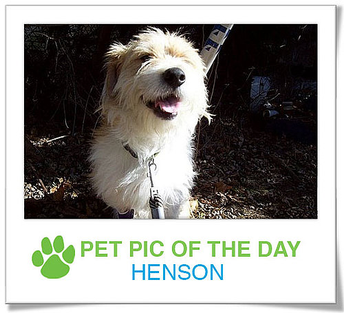 Pet Pics on PetSugar 2009-03-05 09:30:50