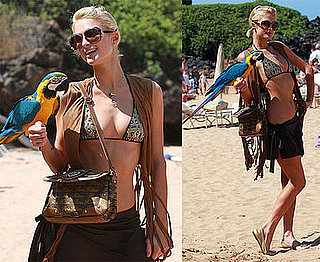 Polly Wanna a Paris Hilton Bikini?