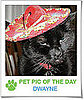 Pet Pics on PetSugar 2009-03-23 09:30:14