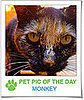 Pet Pics on PetSugar 2009-03-17 09:30:00