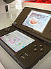 Early Look at the Nintendo DSi 