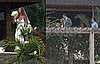 Gisele and Tom Getting Married