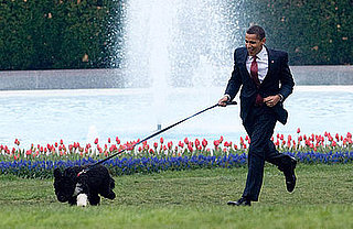 Sugar Shout Out: First Dog, First Press Conference: See Speedy Bo in Action!