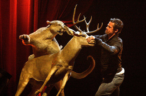 Spike TV Awards Spike TV Awards