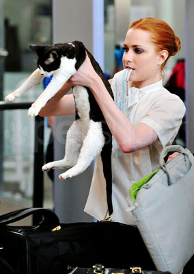 Nicodemus Is a Feline Flier With Evan Rachel Wood