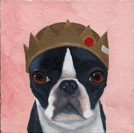 Bostons Wearing Hats 7 ($11)