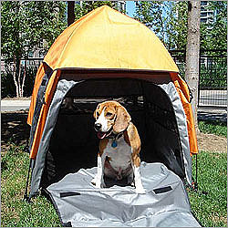 Umbra Tent Pet House ($125)