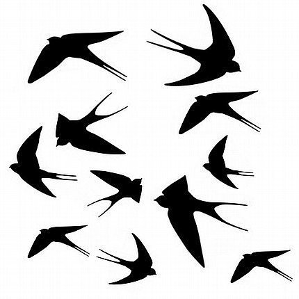 Assorted Swallows Wall Graphic ($12) 